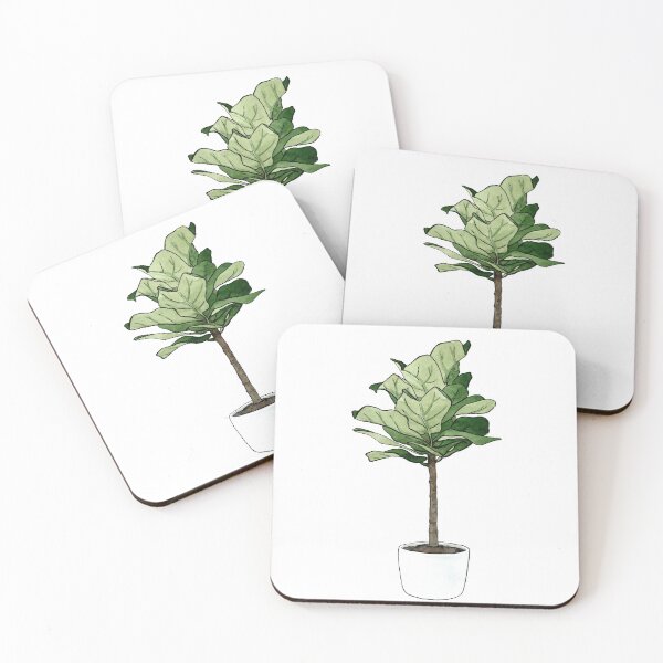 Item preview, Fiddle Leaf Fig Plant designed and sold by Markami.
