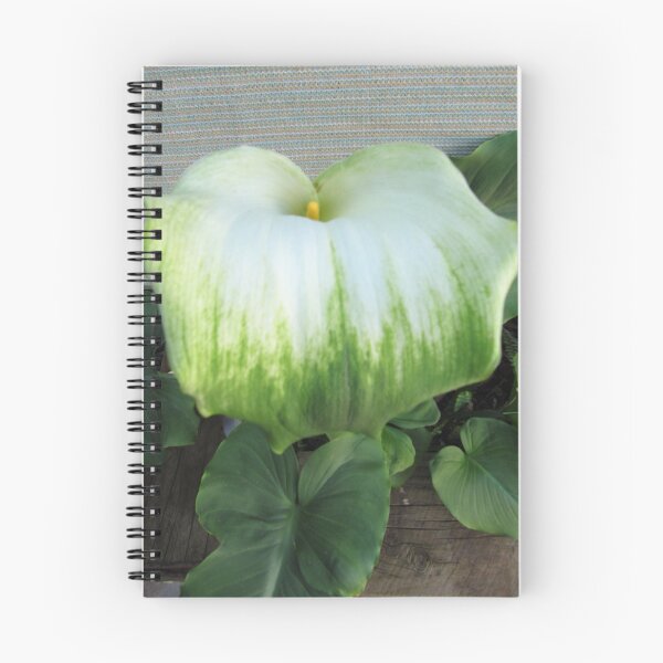 Item preview, Green Lipped Lily! A surprise in the Shade House. designed and sold by RitaBlom.