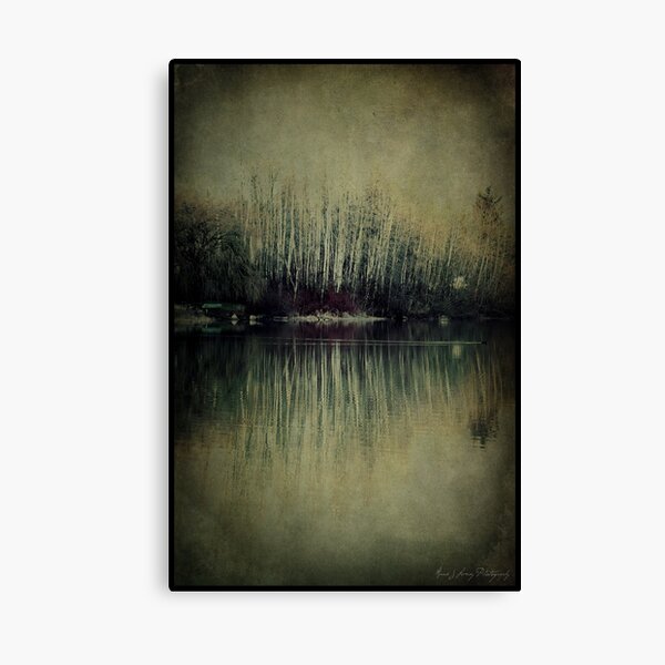 Crossing Over Canvas Print