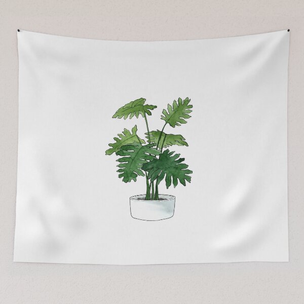 Item preview, Philodendron Plant designed and sold by Markami.
