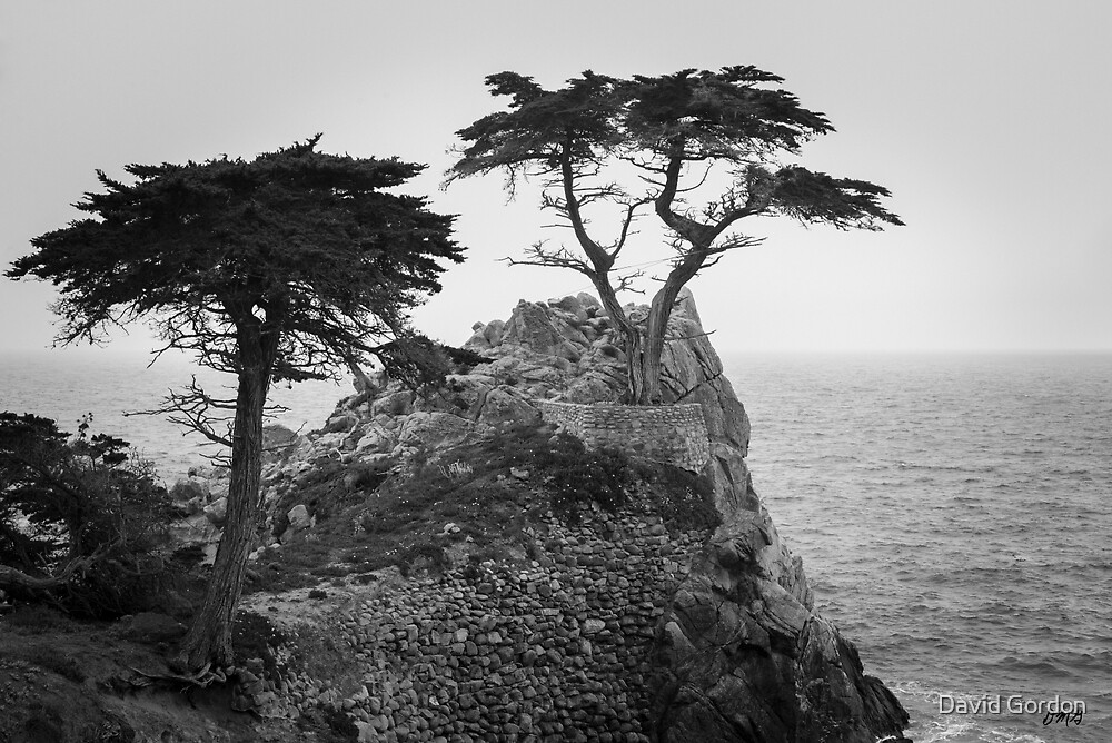 "Monterey Peninsula II BW" by David Gordon Redbubble