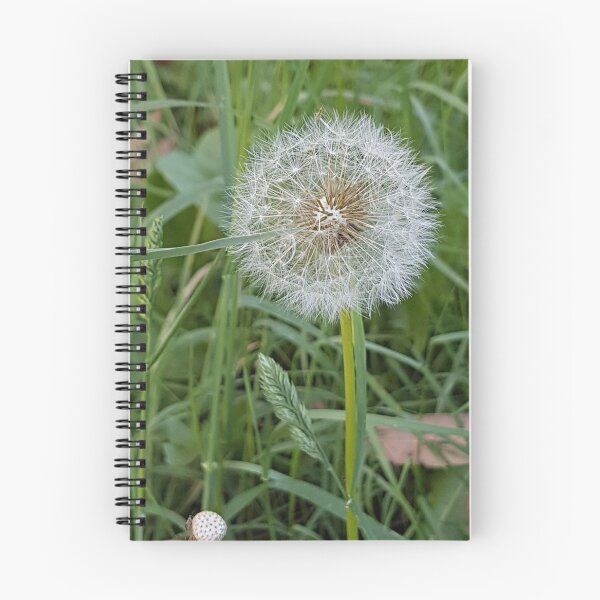Item preview, Fairy Wishes Dandelion designed and sold by Rubywoodwytch.