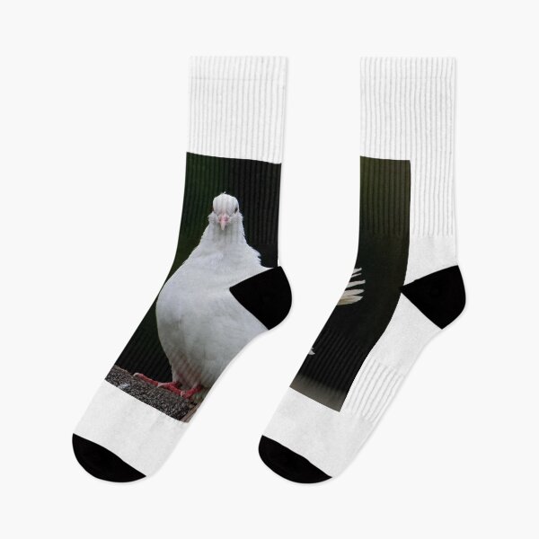 Item preview, White Dove designed and sold by AnnDixon.