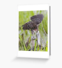 Maaaa! Maaaa! I'm Up Here Maaaa! Greeting Card