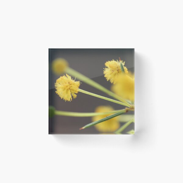 Artikelvorschau, Toten Finish Wattle entworfen und verkauft von Leanne Davis.
