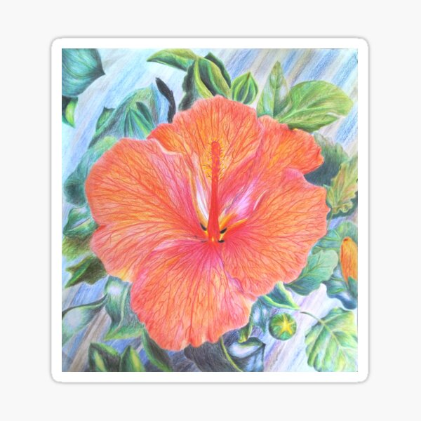 Hibiscus flower Sticker