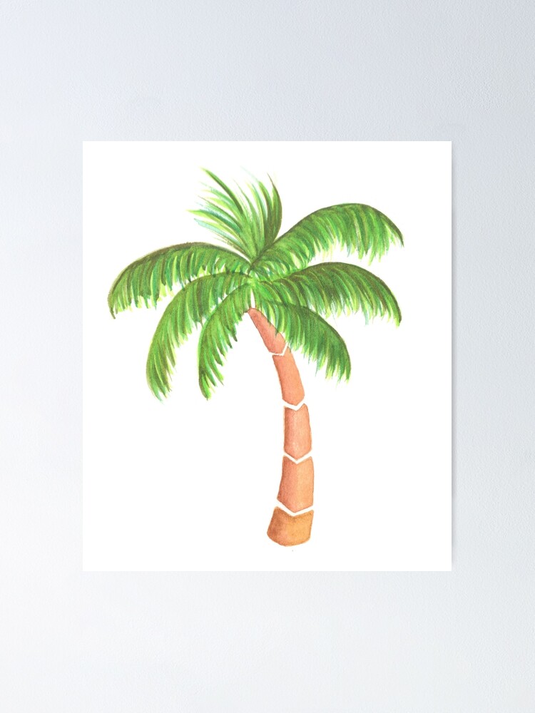 Tropical Palm Tree - Watercolor" Poster by chargingrhinos  Redbubble