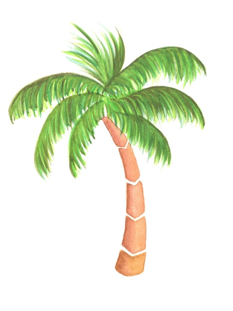 Tropical Palm Tree - Watercolor by chargingrhinos
