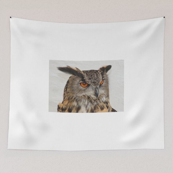 Item preview, Long Eared Owl designed and sold by AnnDixon.