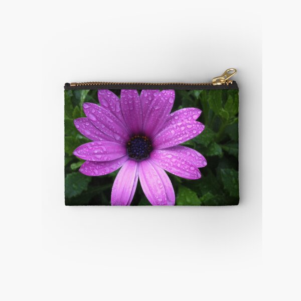 Artikelvorschau, Gänseblümchen - Osteospermum 1 entworfen und verkauft von Rubywoodwytch.