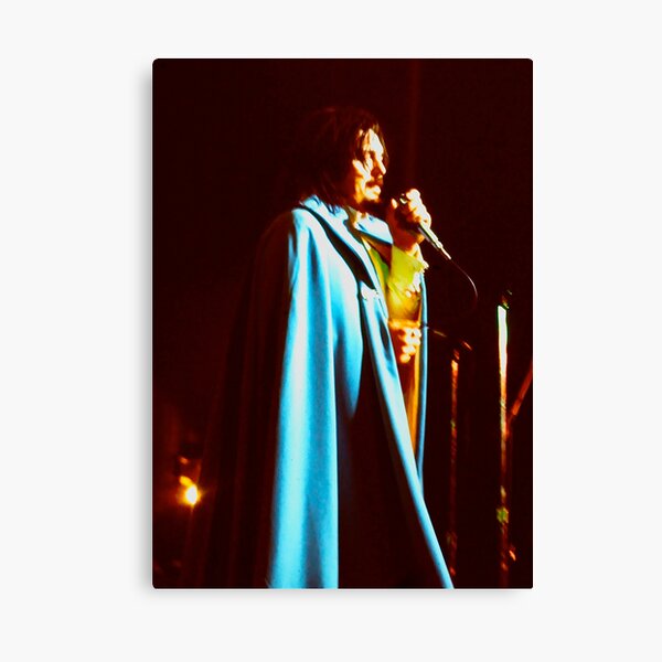 Remembering Don Van Vliet Captain Beefheart Canvas Print