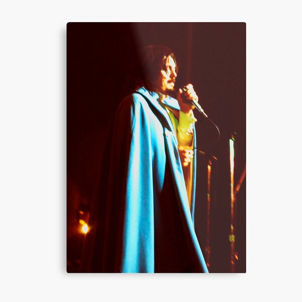 Remembering Don Van Vliet Captain Beefheart Metal Print