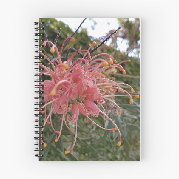 Item preview, Fireworks - Hakea 2 designed and sold by Rubywoodwytch.