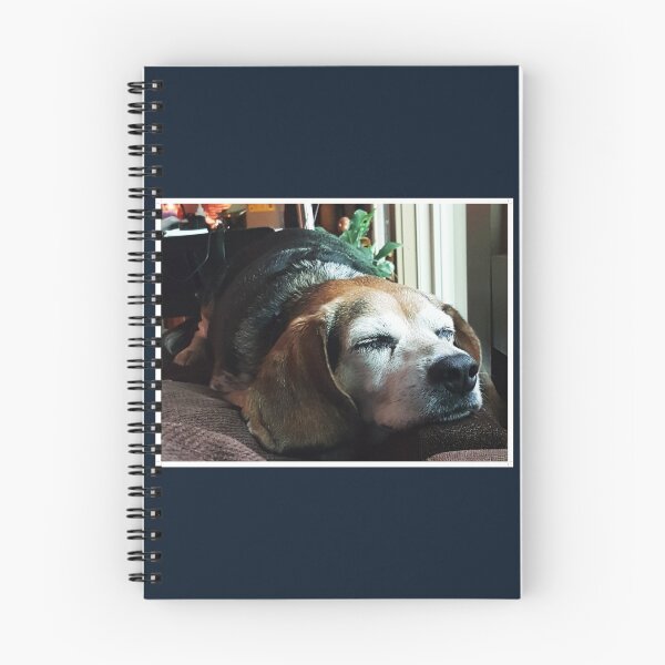 Item preview, Perro viejo designed and sold by J. Robin Whitley.