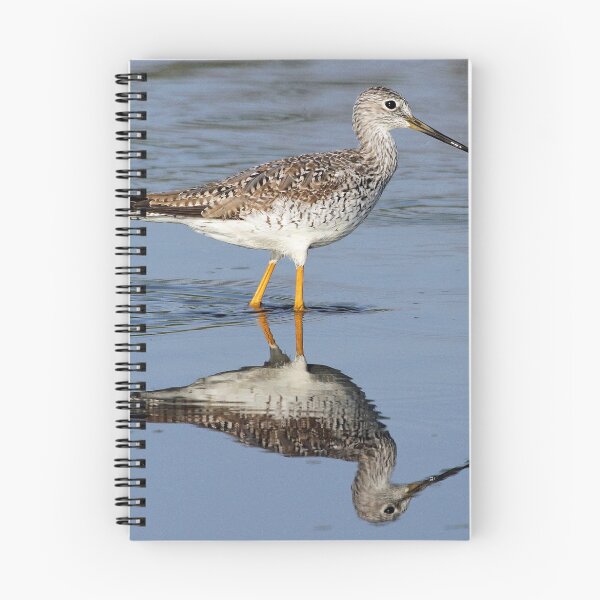 Item preview, Greater yellowlegs designed and sold by Anthony Goldman.