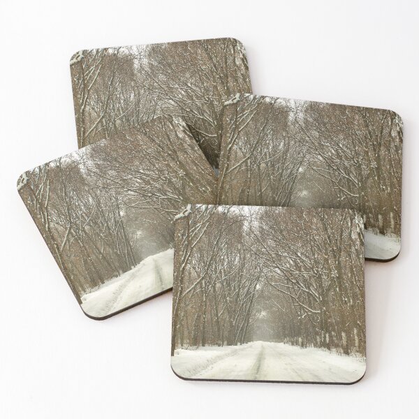 Item preview, Snowy Path At Point Pelee designed and sold by Barry W  King.