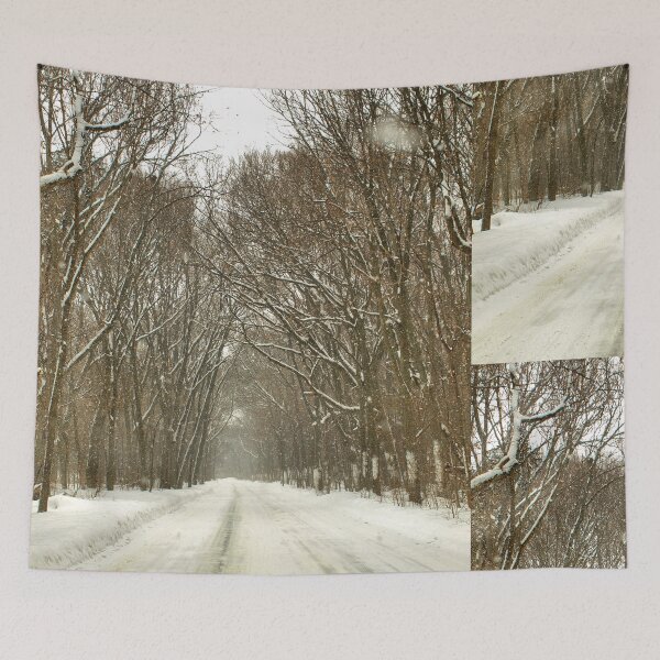Item preview, Snowy Path At Point Pelee designed and sold by Barry W  King.