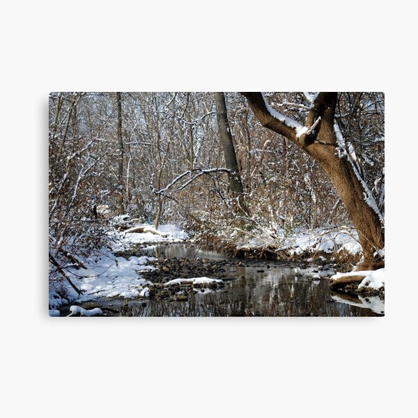 After the Snowstorm Canvas Print