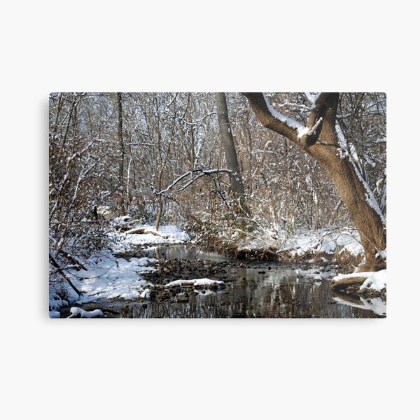After the Snowstorm Metal Print
