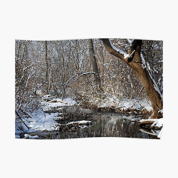 After the Snowstorm Poster