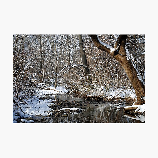 After the Snowstorm Photographic Print