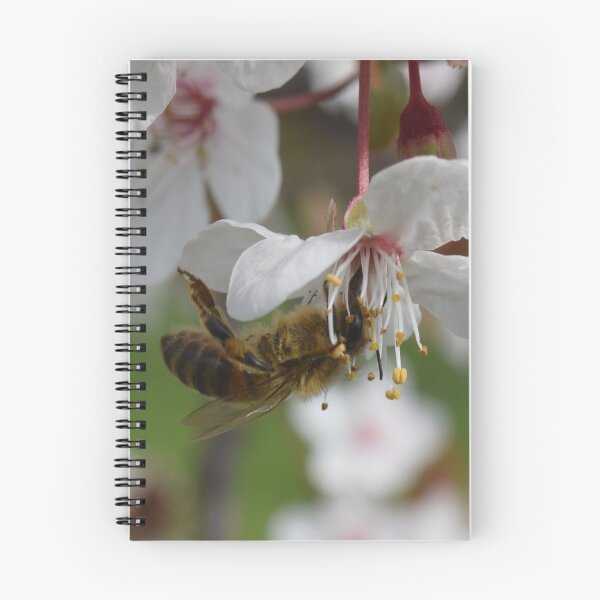 Item preview, The Gatherer designed and sold by Caroline Everett.