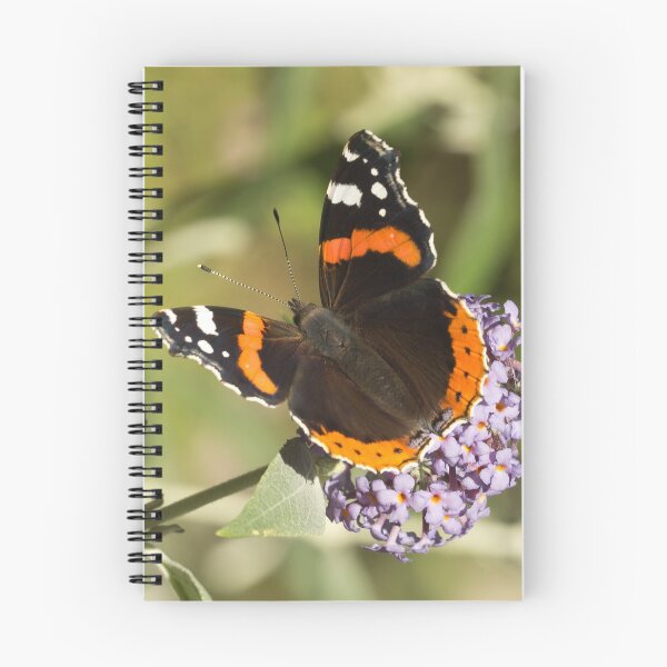 Item preview, Red Admiral Butterfly designed and sold by Nethycurl.