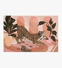 Easy Tiger Photographic Print