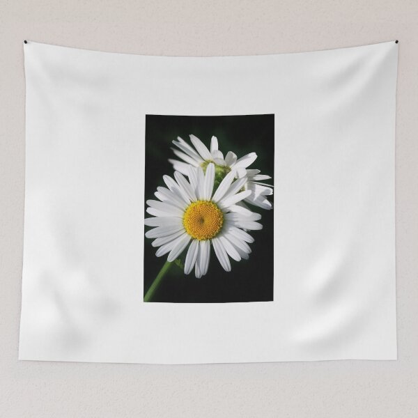 Item preview, white chamomiles on black background designed and sold by olena2552.