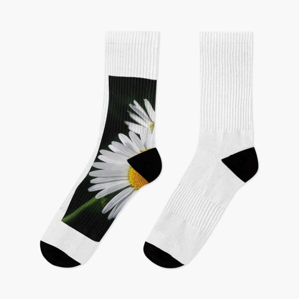 Item preview, white chamomiles on black background designed and sold by olena2552.