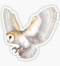 Barn Owl Sticker