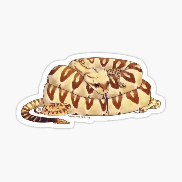 Black-tailed Rattlesnake Family Sticker