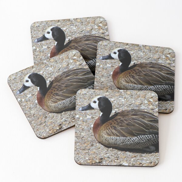 Item preview, White-faced whistling duck designed and sold by Sharon Perrett.