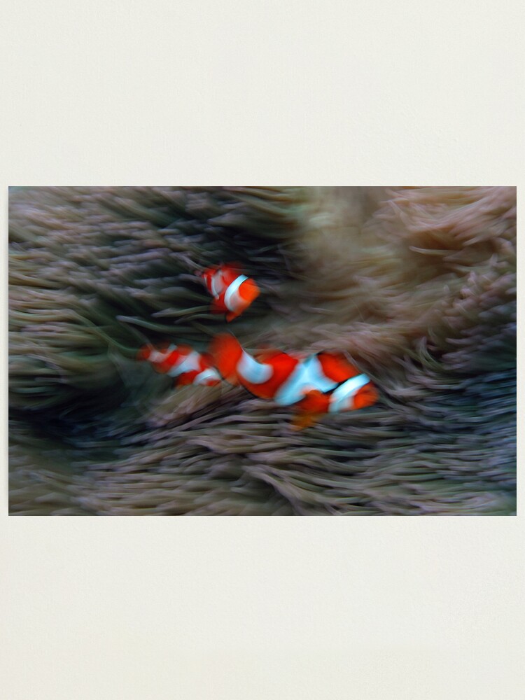 Alternate view of Dancing Clowns Photographic Print