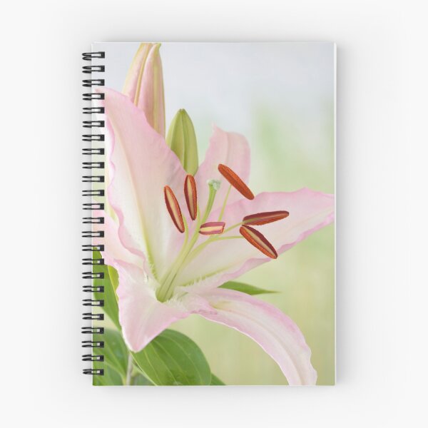 Item preview, Lilium  Lily designed and sold by Chris Burrows.