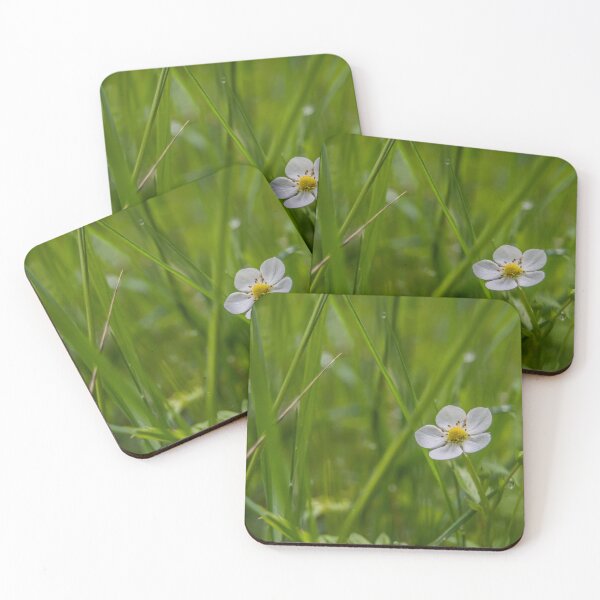 Item preview, Wild Strawberry designed and sold by Tomáš Flimel.