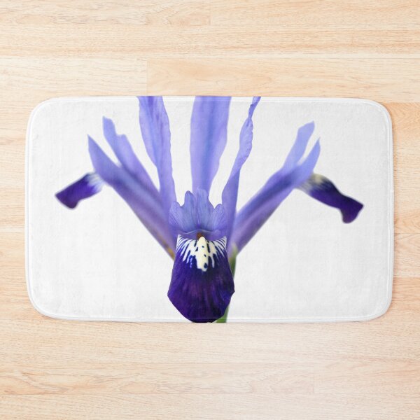 Item preview, Iris 'Fabiola' Reticulata designed and sold by Chris Burrows.