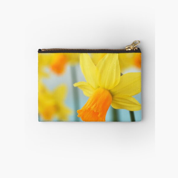 Item preview, Narcissus 'Jetfire' AGM Daffodil Div. 6 Cyclamineus designed and sold by Chris Burrows.