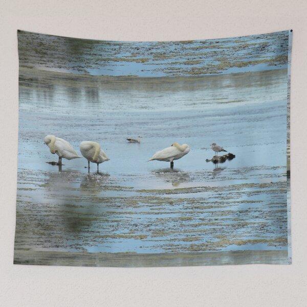 Item preview, We Do Not Want Our Picture Taken designed and sold by Barry W  King.