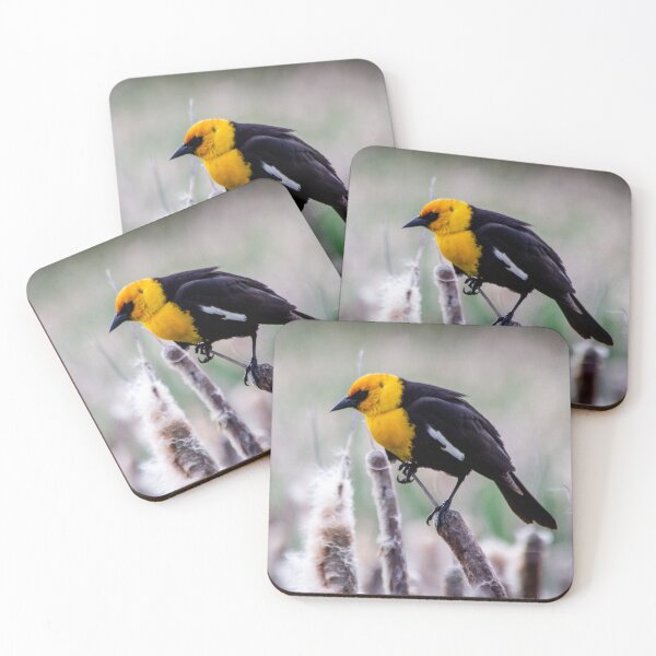 Item preview, Yellow-Headed Blackbird at Ridgefield National Wildlife Refuge designed and sold by AvocaSpring.