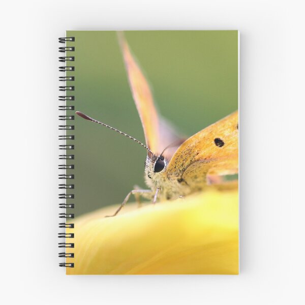 Item preview, Small copper close up designed and sold by GreyFeatherPhot.