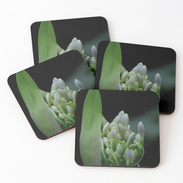Item preview, Revelador designed and sold by Sharon Perrett.