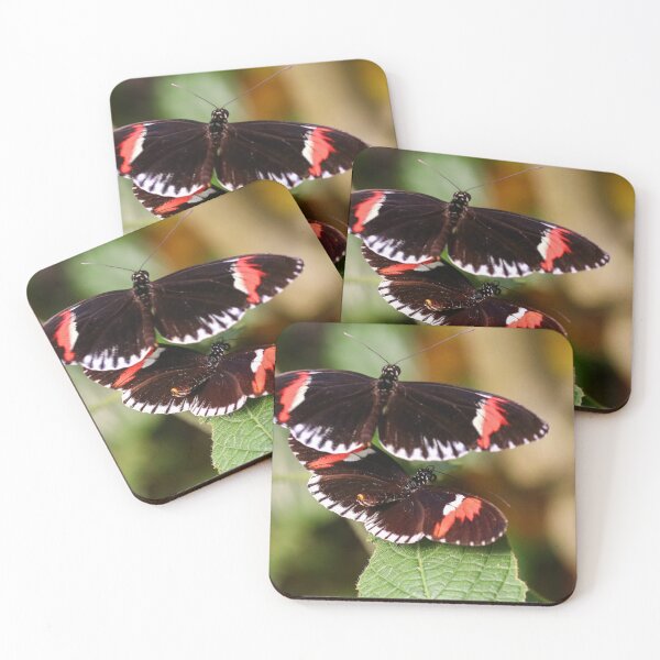 Item preview, Postman butterflies designed and sold by GreyFeatherPhot.