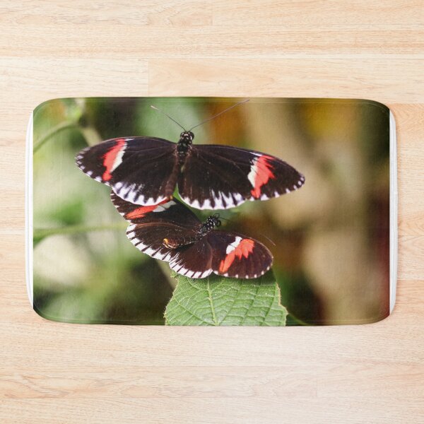 Item preview, Postman butterflies designed and sold by GreyFeatherPhot.