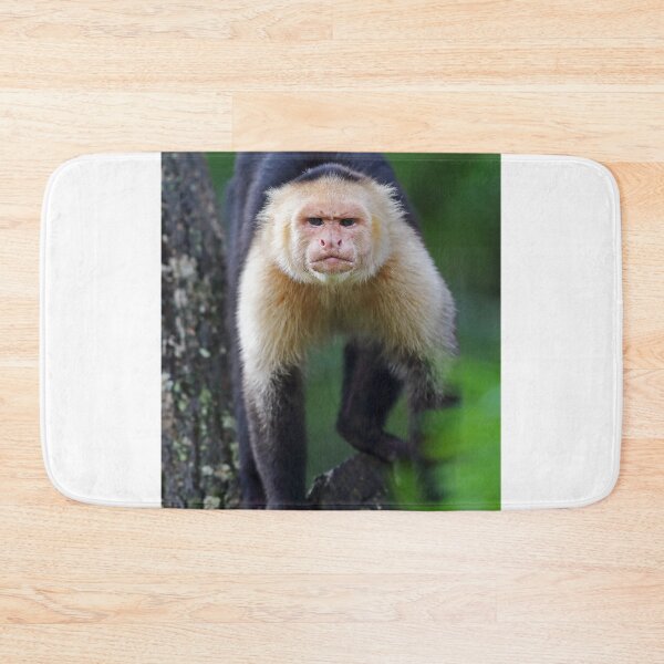 Item preview, Capuchin monkey - Costa Rica designed and sold by James Cumming.