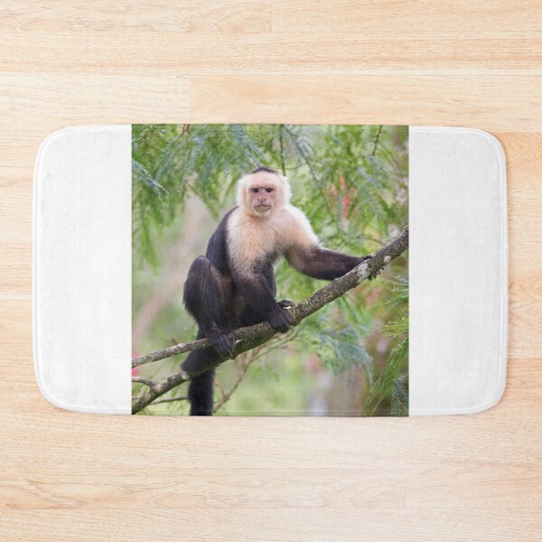 Item preview, Capuchin monkey - Costa Rica designed and sold by James Cumming.