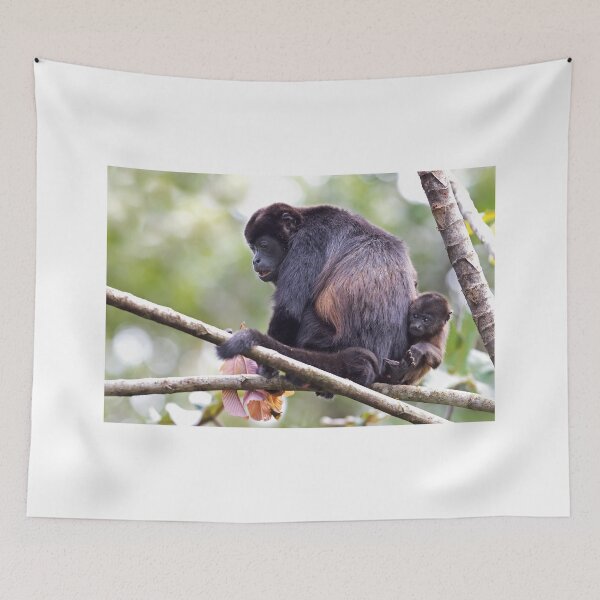 Item preview, Howler monkeys - Costa Rica designed and sold by James Cumming.