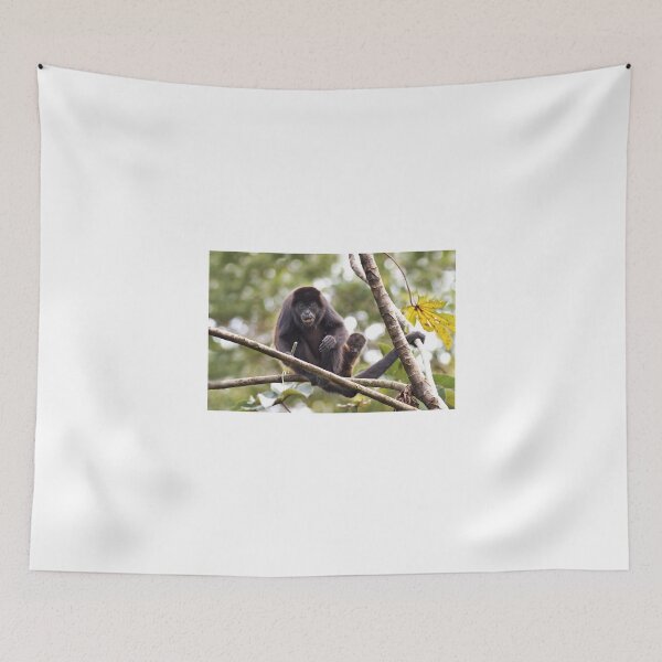 Item preview, Howler monkeys - Costa Rica designed and sold by James Cumming.