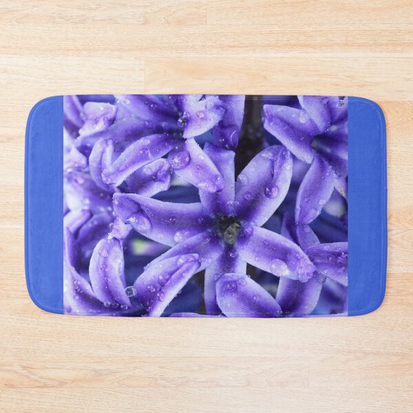 Item preview, Hyacinthus orientalis  'Blue Jacket'   AGM  Hyacinth   designed and sold by Chris Burrows.