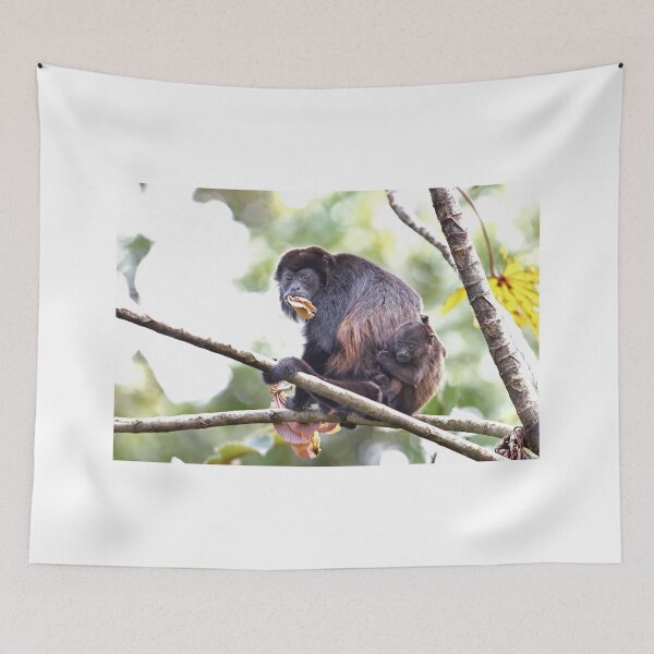 Item preview, Howler monkeys - Costa Rica designed and sold by James Cumming.